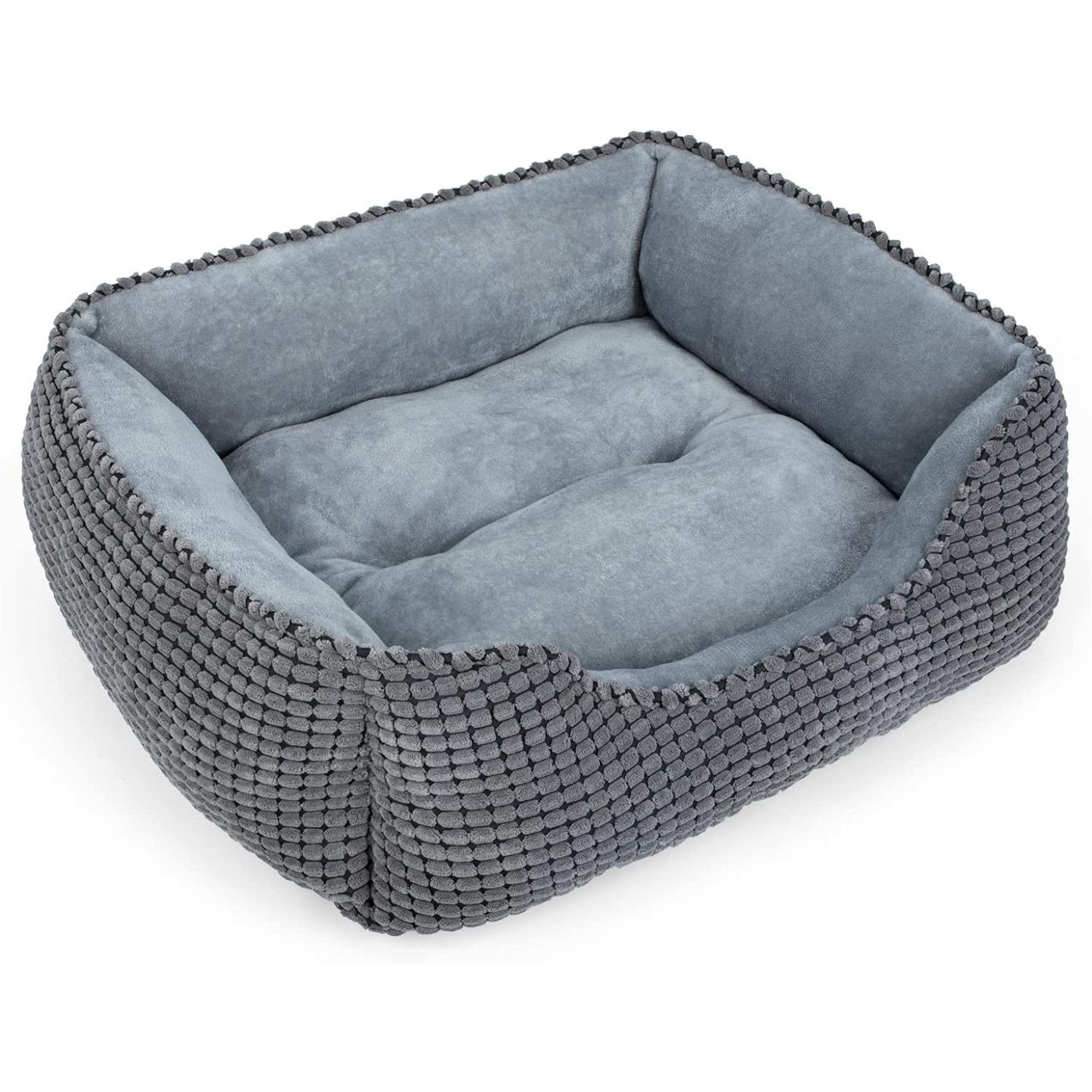 Small dog bed size hotsell